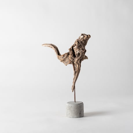 ostrich_A