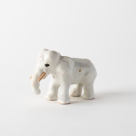 gentle-eyed elephant