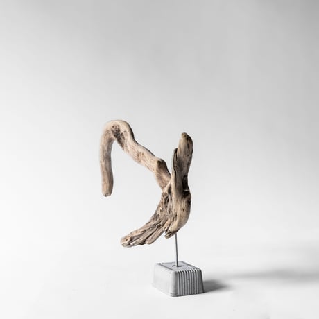 pelican
