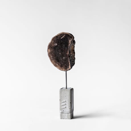 fossil