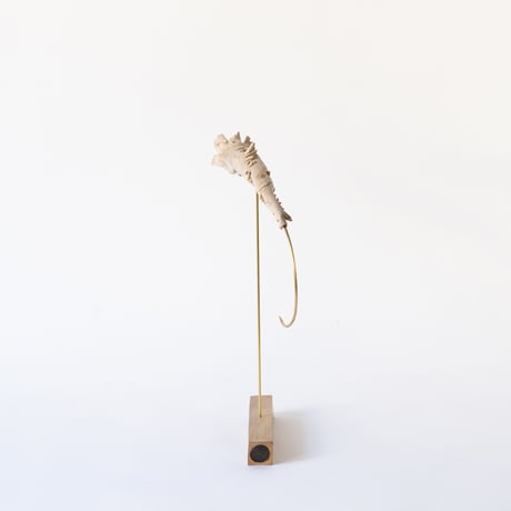 deep-sea prawn