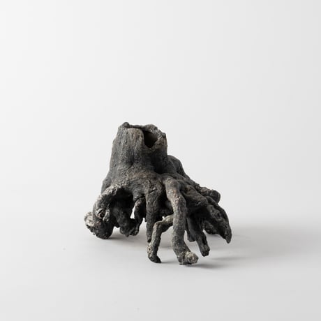 ceramic root