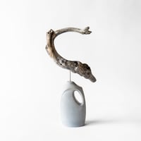 plesiosaur_A