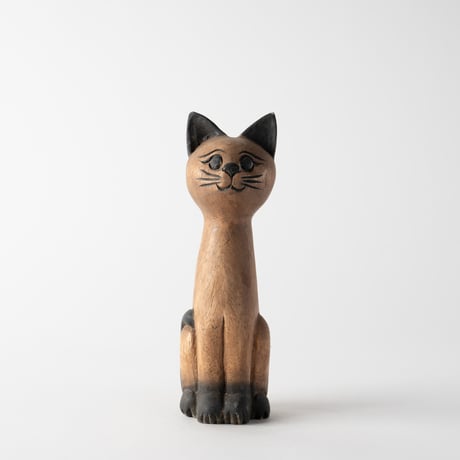 round eyes cat