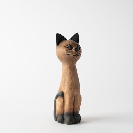 round eyes cat