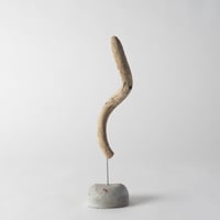 tail