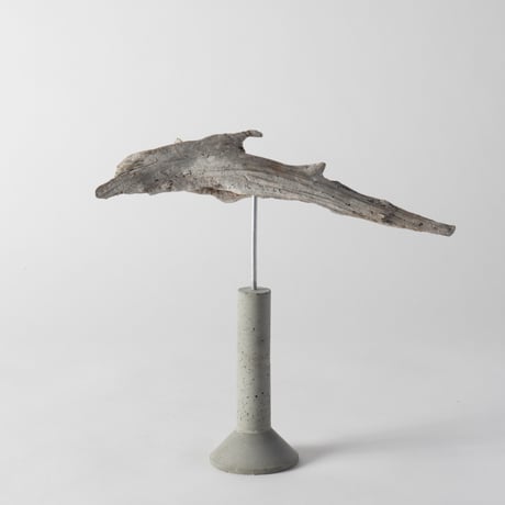 dolphin_B