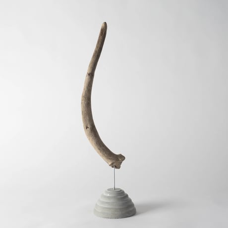 horn_B
