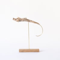 deep-sea prawn
