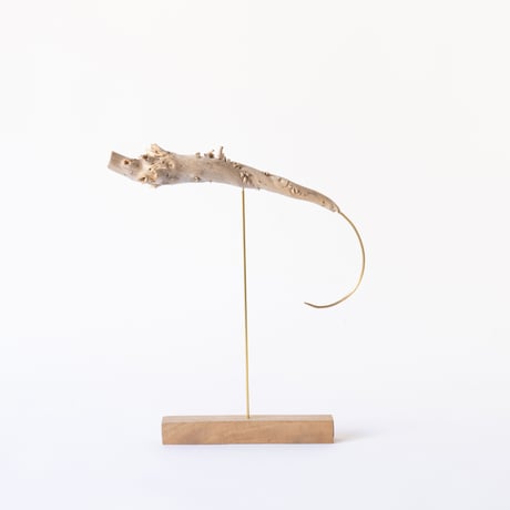 deep-sea prawn