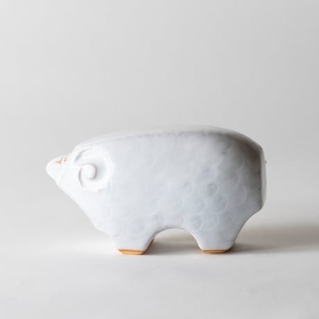 plump sheep