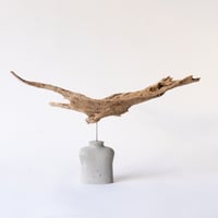 phoenix_A