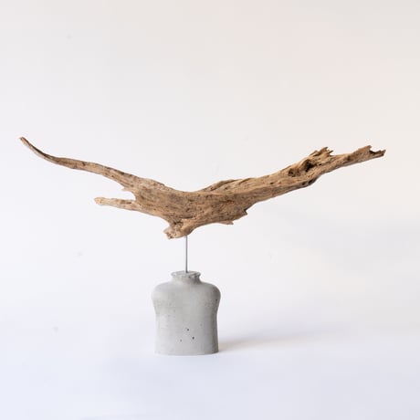 phoenix_A