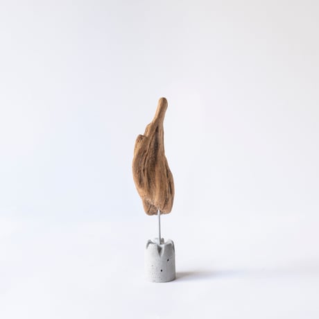 torch_A
