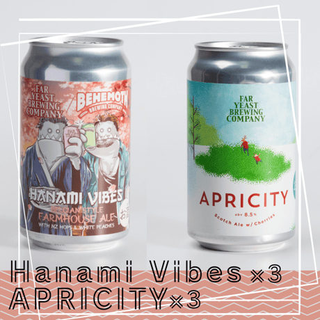 FY｜Hanami Vibes＆APRICITY【350ml 各3本／6本セット】
