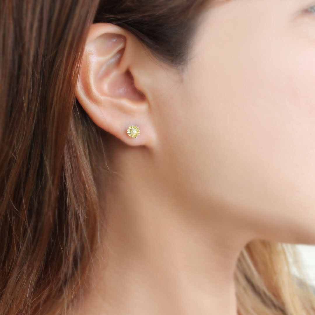 ノースポールピアス ノースポールピアス / North pole earrings | atelier mozu