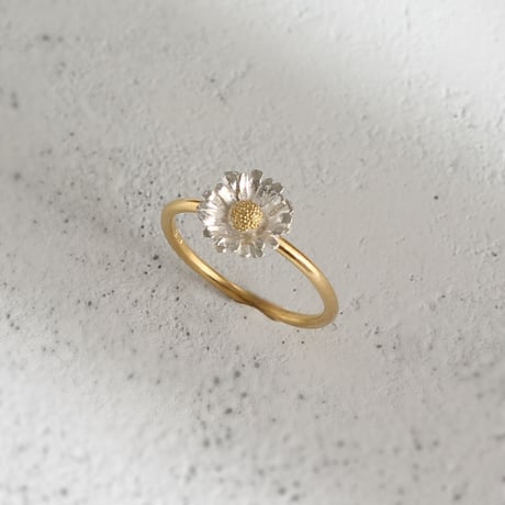 ノースポールのリング / Chrysanthemum north pole ring