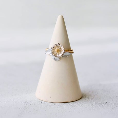 ノースポールのリング / Chrysanthemum north pole ring