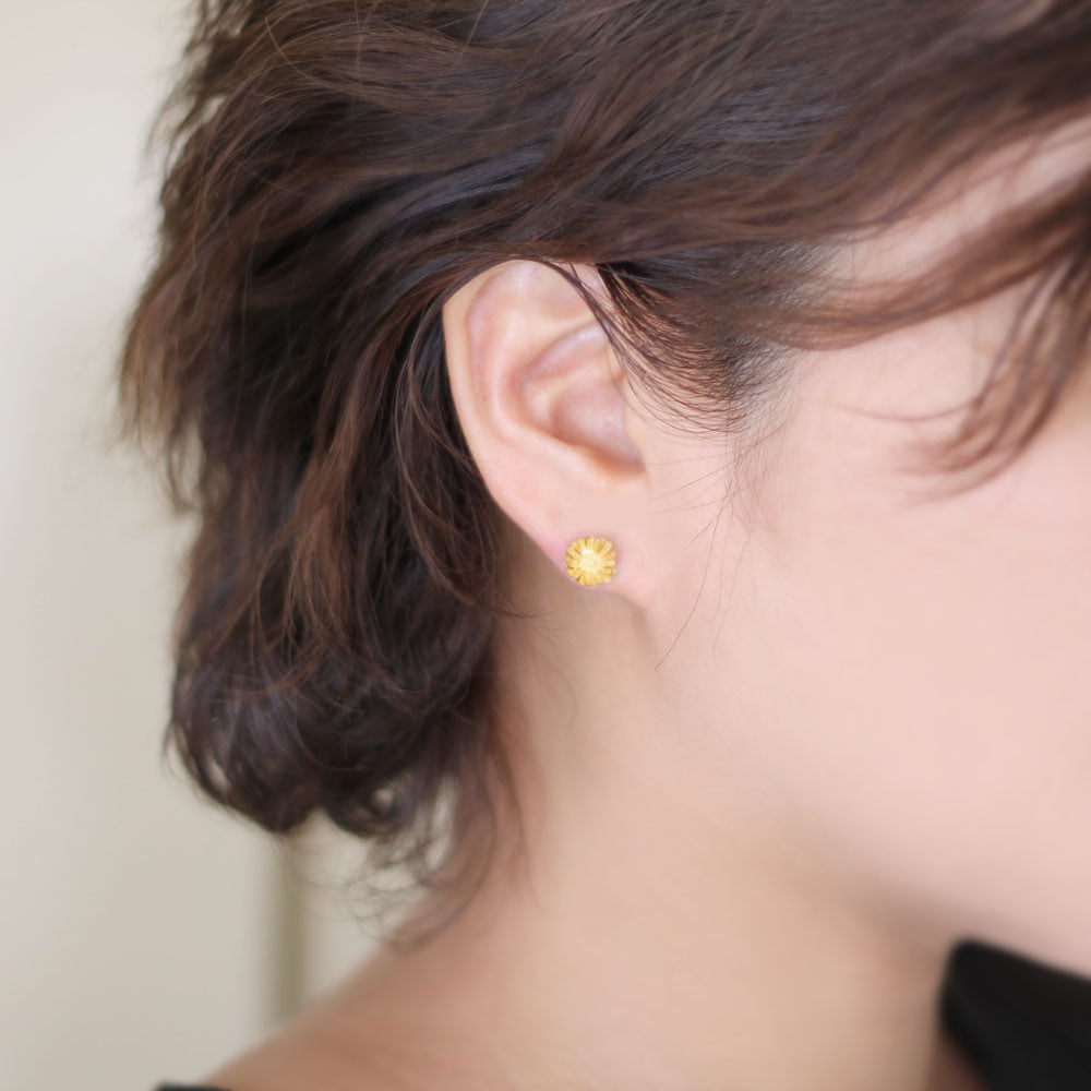 ノースポールピアス ノースポールピアス / North pole earrings | atelier mozu