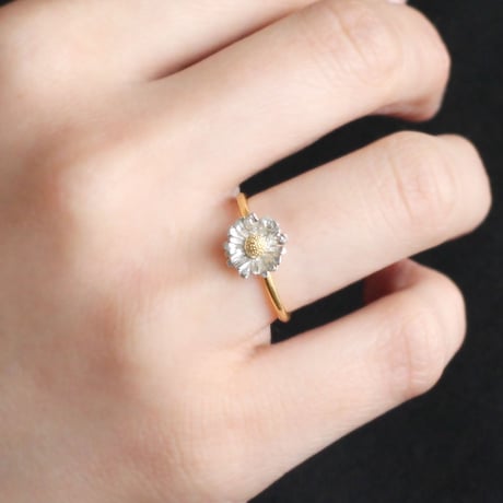ノースポールのリング / Chrysanthemum north pole ring