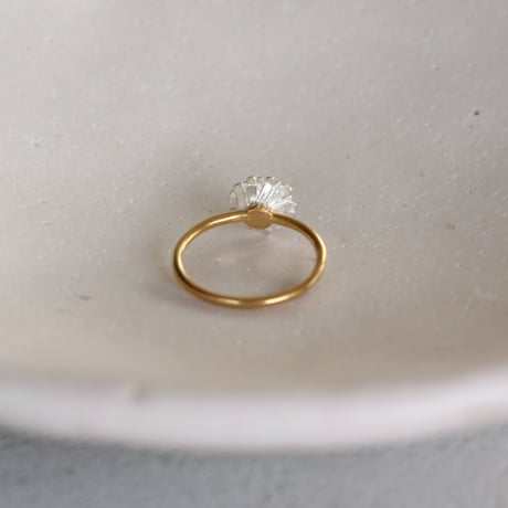 ノースポールのリング / Chrysanthemum north pole ring