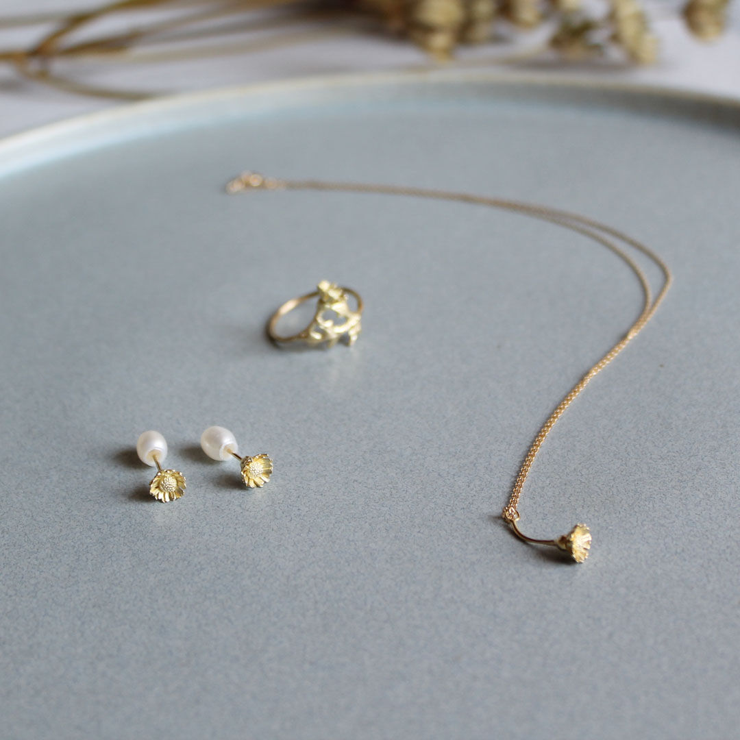ノースポールピアス ノースポールピアス / North pole earrings | atelier mozu