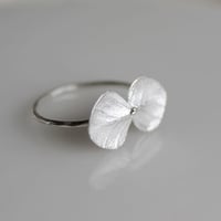 Eucalyptus ring
