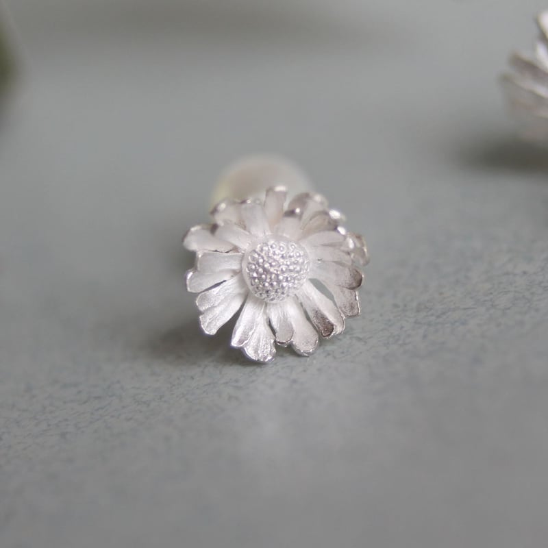 ノースポール✼ ノースポールピアス / North pole earrings | atelier mozu