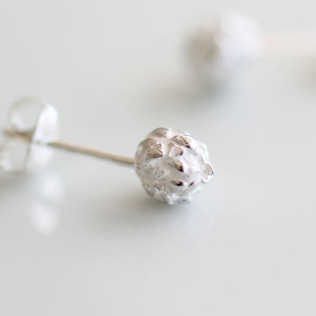 シロツメクサのスタッドピアス / White clover stud earrings