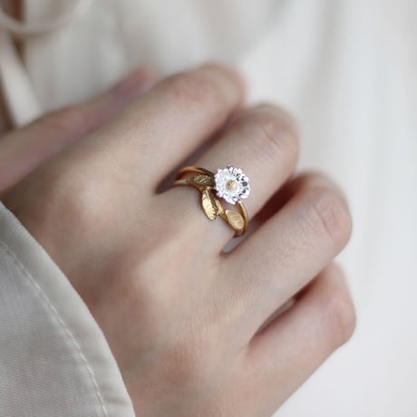 ノースポールのリング / Chrysanthemum north pole ring