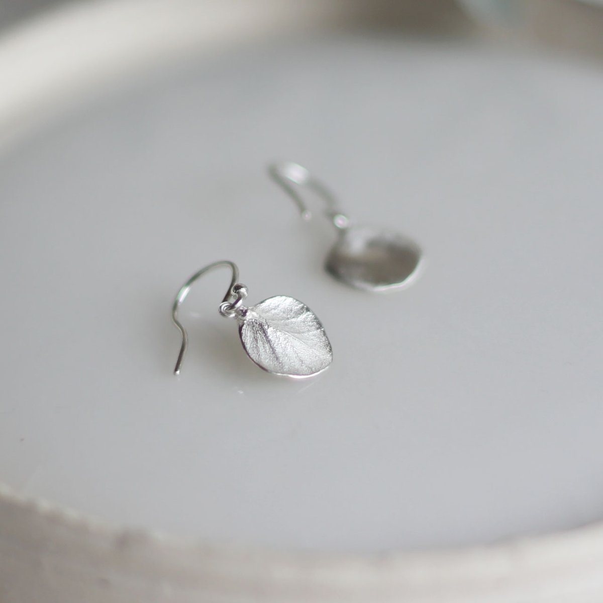 ユーカリのピアス | atelier mozu