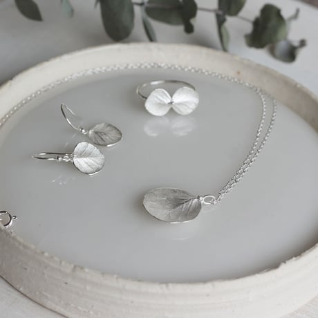 Eucalyptus ring