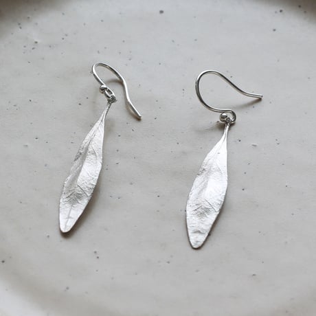 オリーブのピアス / Olive leaf earrings