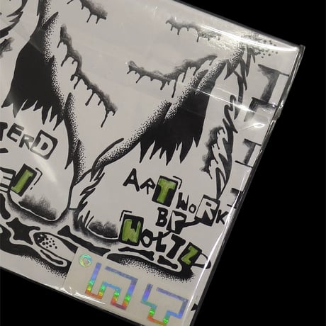 凸凹。SHAGGY BUG MIX CD