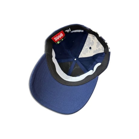 FUCK THIS INDUSTRY SORRY! FLEX FIT HAT BLUE