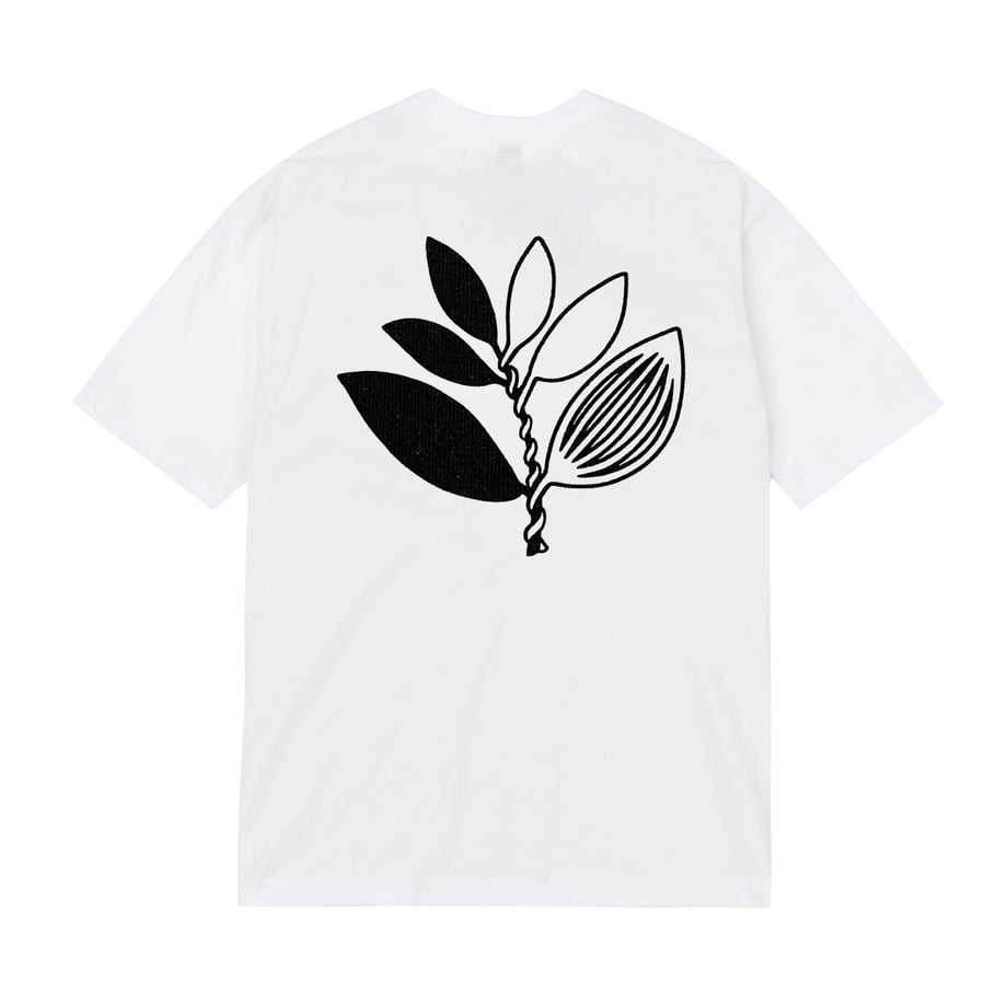 6a1659a5748c7e383e12d262