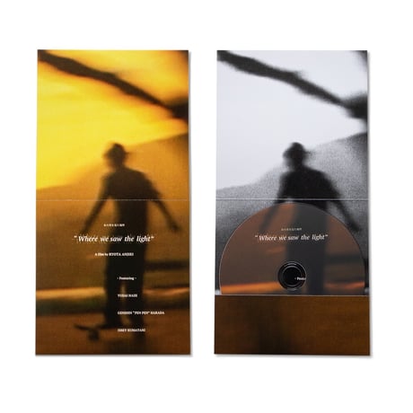 "WHERE WE SAW THE LIGHT" DVD