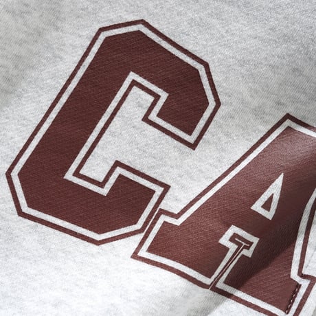 CASH ONLY CAMPUS ZIP-THRU HOOD ASH