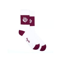 MAGENTA STRIPE SOCKS WHITE