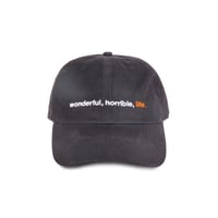 STINGWATER WONDERFUL HORRIBLE LIFE HAT BLACK