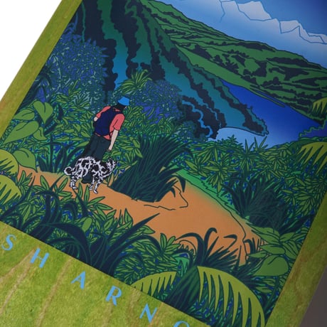 SKATEBOARD CAFE MOUNTAINS DECK 8.5