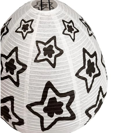 STAR TEAM LANTERN KIT