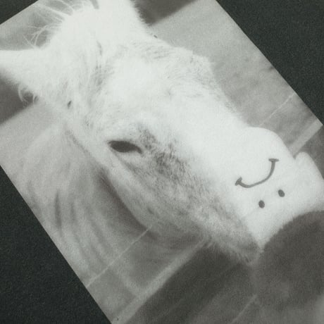 POLAR HORSE HAND TEE SILVER BLACK