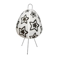 STAR TEAM LANTERN KIT