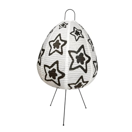 STAR TEAM LANTERN KIT