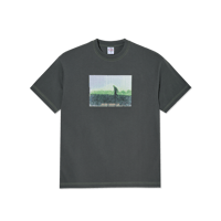 POLAR SKATE CO. BEACH WALK TEE GRAPHITE / GREEN