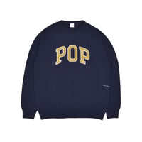 POP TRADING COMPANY ARCH KNITTED CREWNECK NAVY/CRESS GREEN