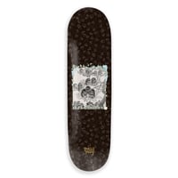 PASSPORT MAY GIBBS＆PASSPORT BANKSIA MEN DECK 8.25
