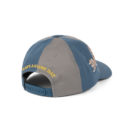 GLO DIME LOW PRO CAP GREY / STORM BLUE