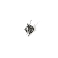 POLAR SKATE CO. PIN NO COMPLIES FOREVER SILVER